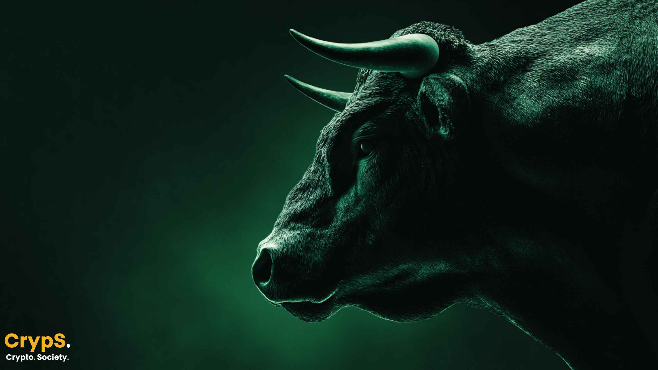 Bitcoin bull