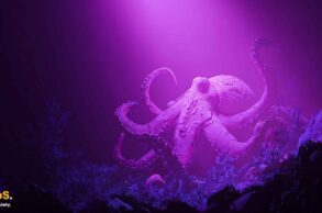 Kraken