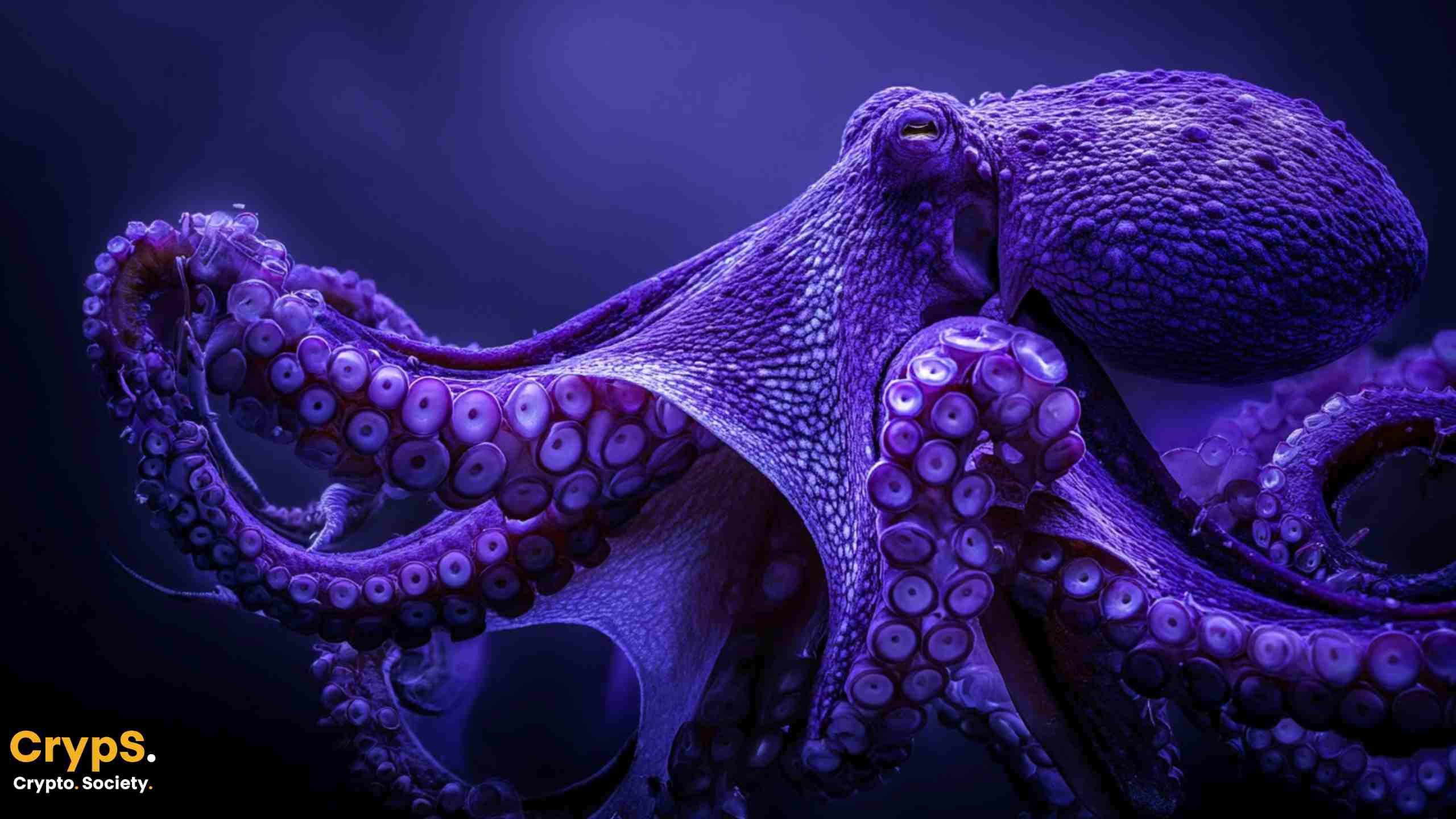 Kraken