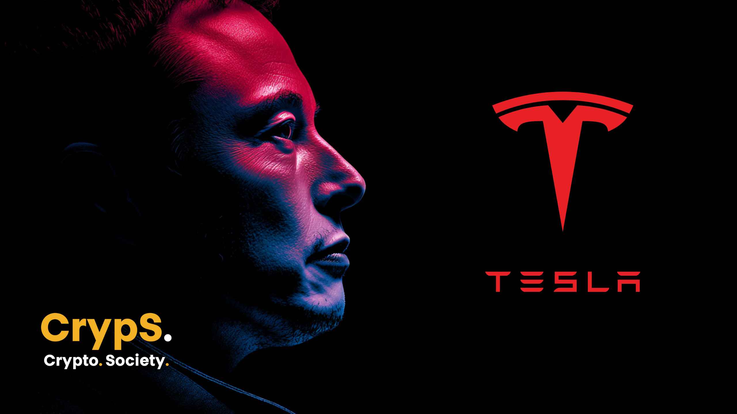 Elon Musk, CEO Tesli