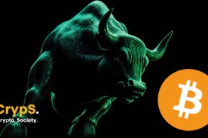 bitcoin bull