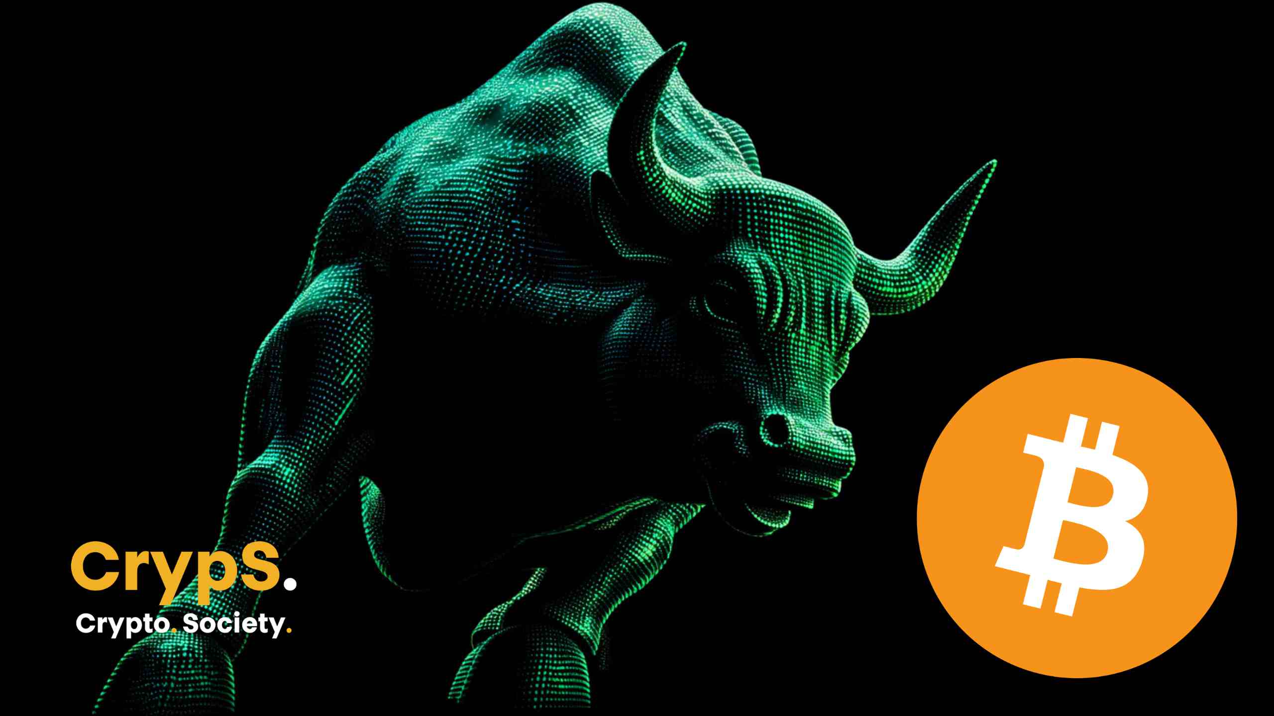 bitcoin bull