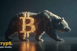 bitcoin bear
