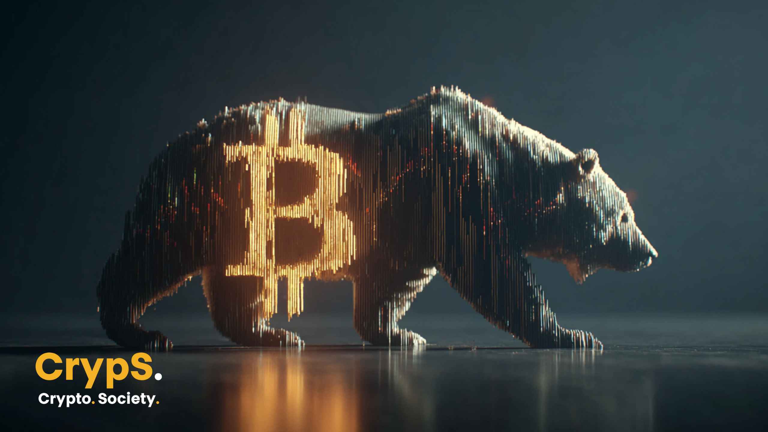 bitcoin bear