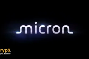micron