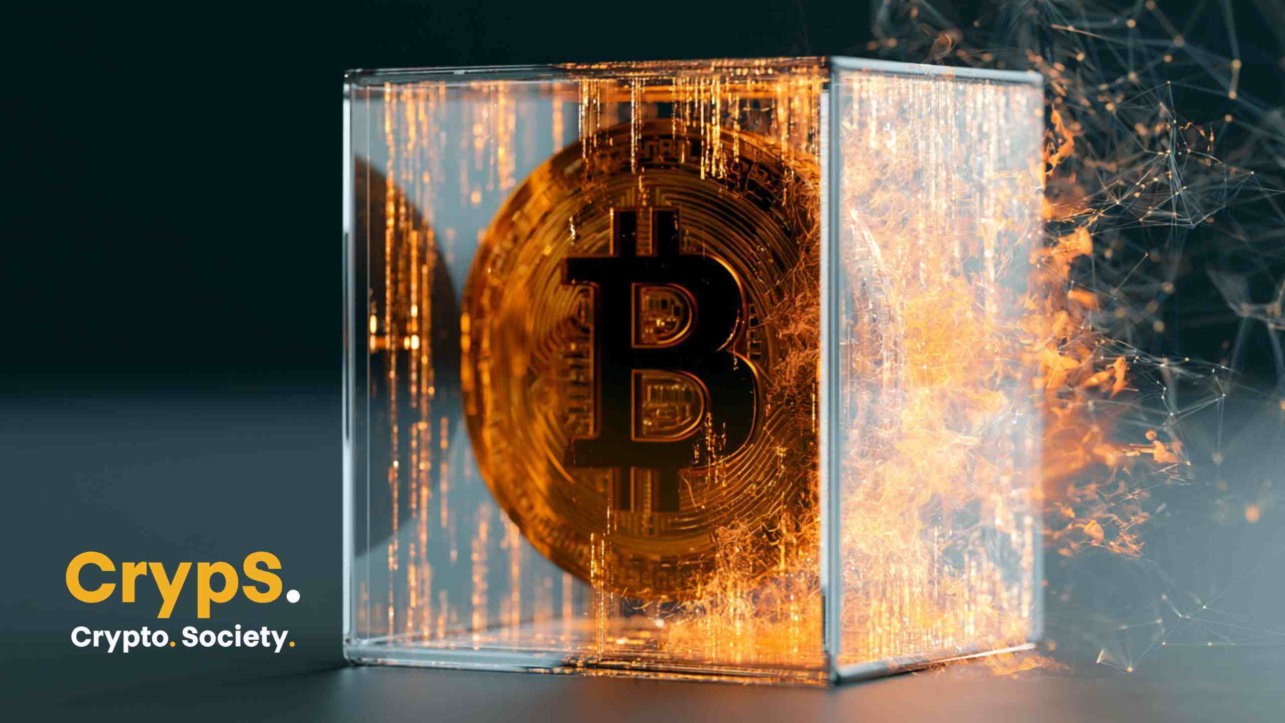 Sieć bitcoina