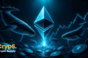 Wieloryby Ethereum