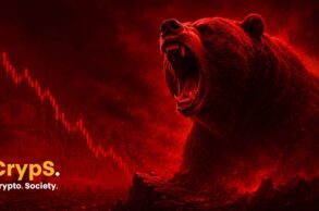 krypto bear