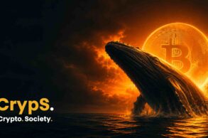 Wieloryby bitcoina