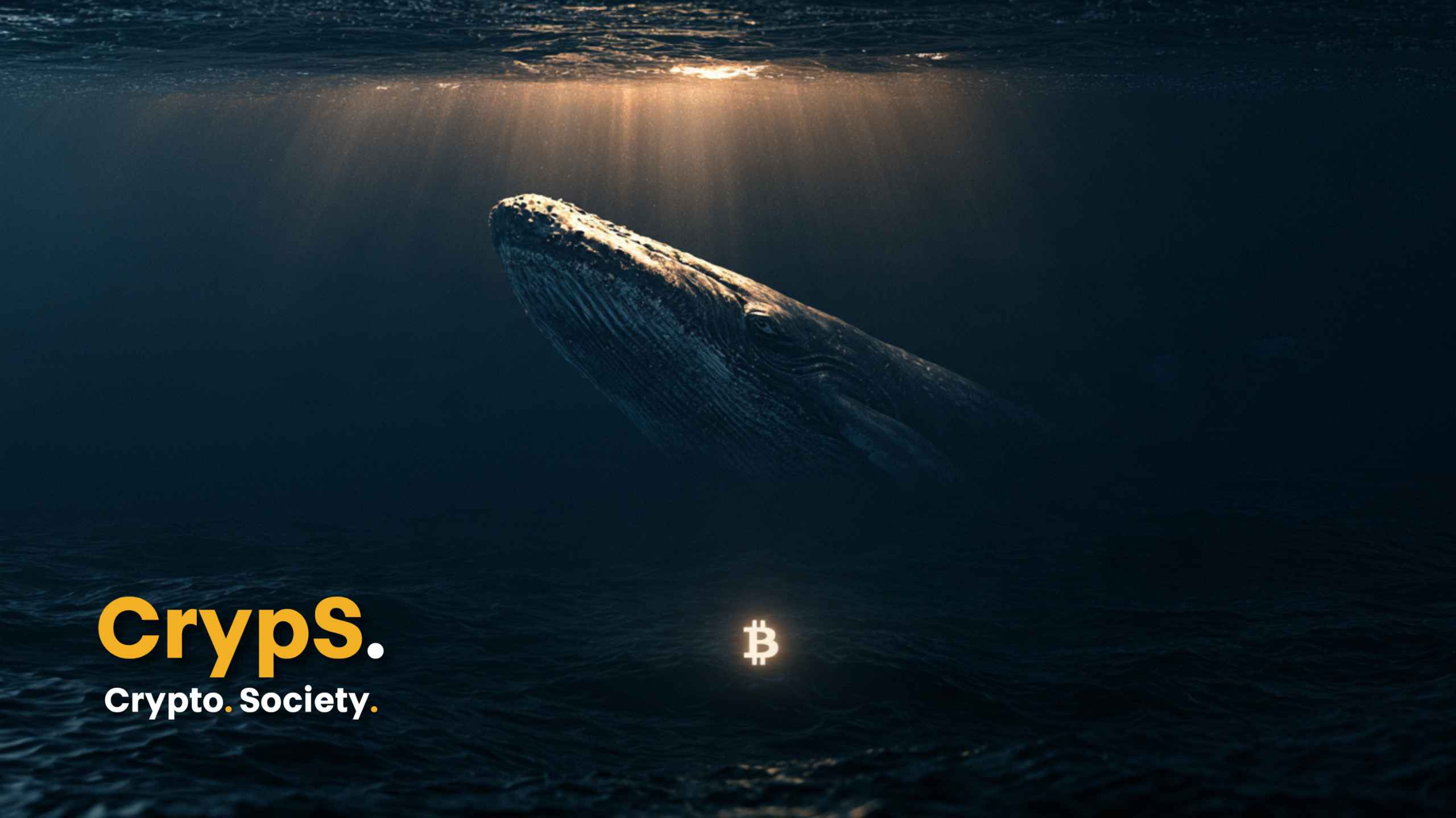 Hossa na bitcoinie