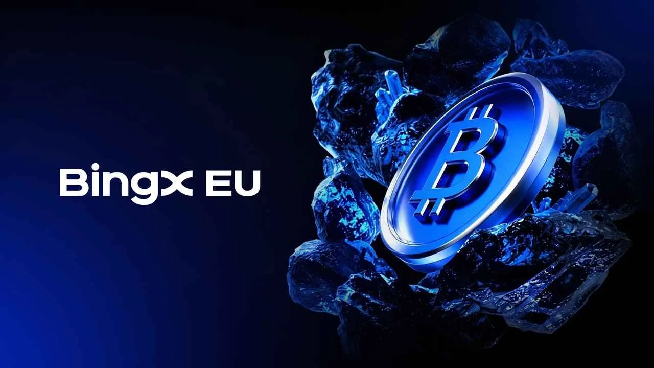 Bingx